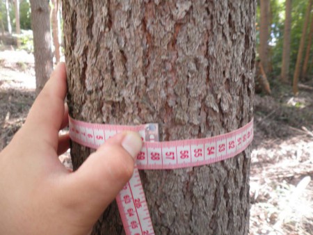 ELABORAÇÃO E EXECUÇÃO DE SERVIÇOS E PROJETOS